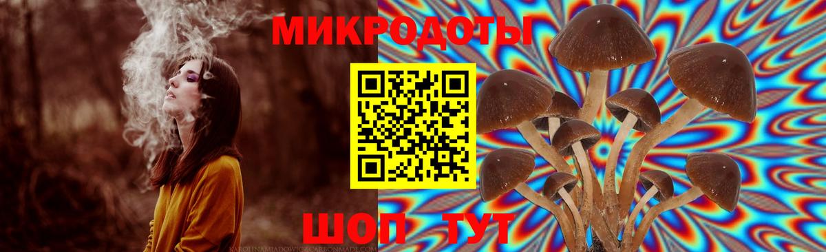 Королёв  Псилоцибиновые грибы MAGIC MUSHROOMS  Галлюциногенные грибы Magic Shrooms  Вход с VPN 